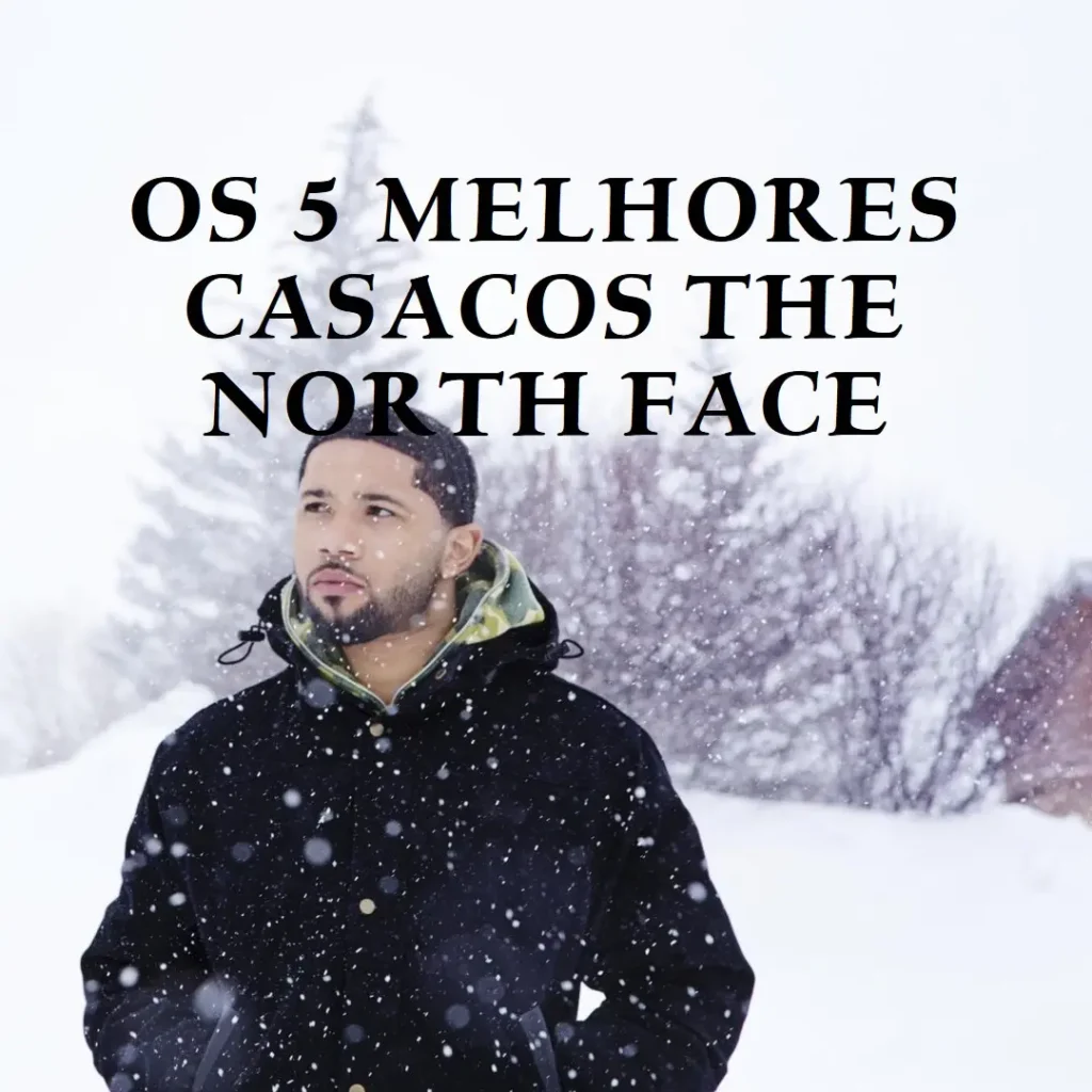 Os 5 Principais Modelos de casaco the north face