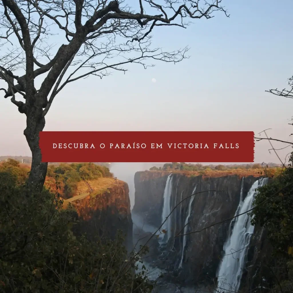 Descubra o Paraíso: O Que Fazer em Victoria Falls