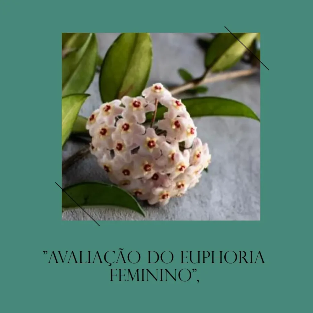 Calvin Klein Euphoria Feminino Eau de Parfum 100 ml: Perfume Elegante e Marcante