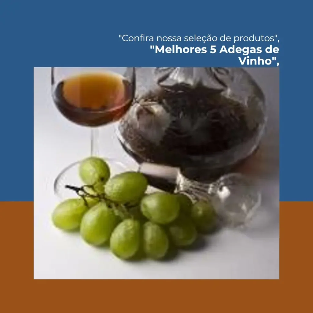 Melhores 5 adegas de vinho