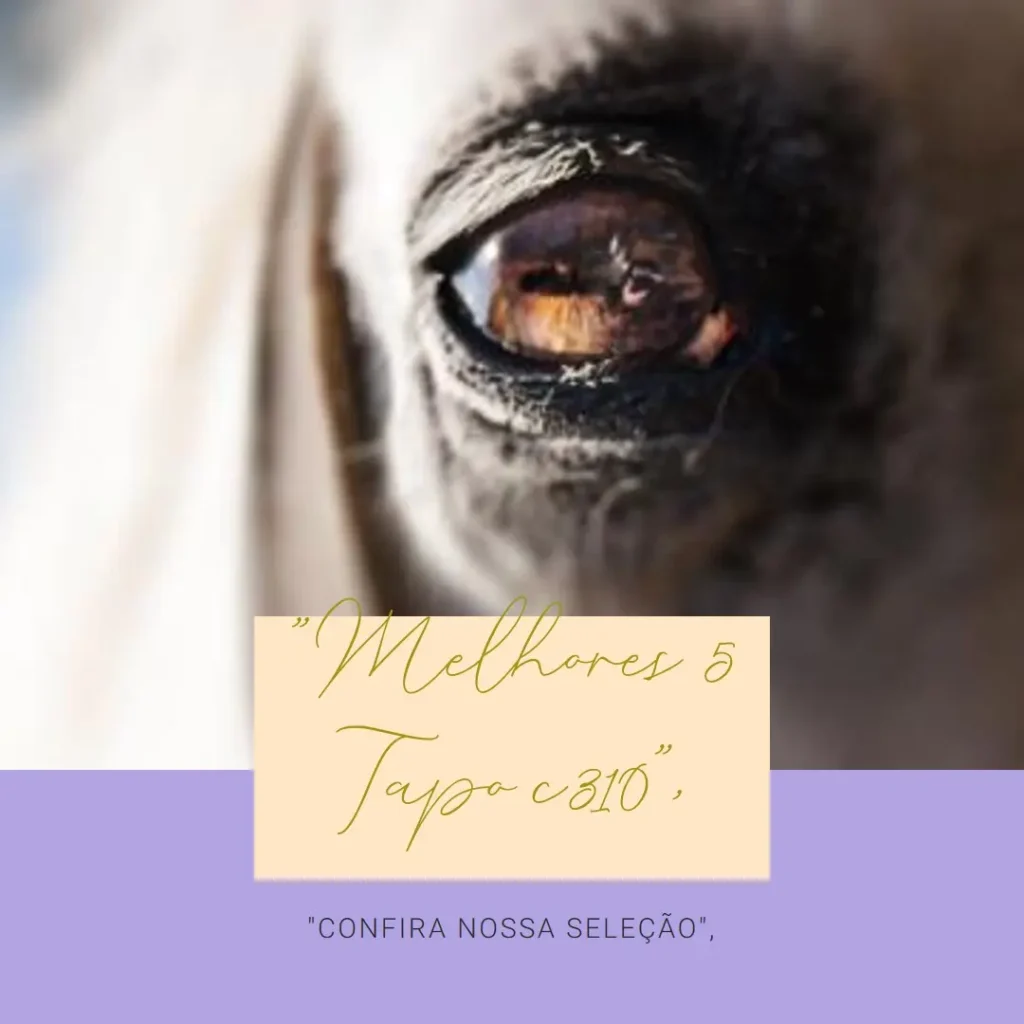 Melhores 5 Tapo c310
