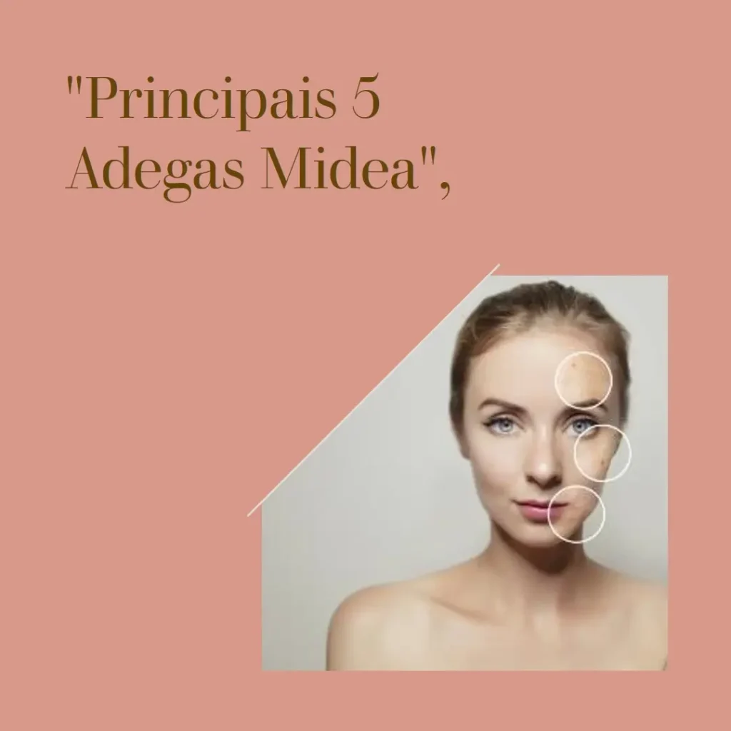 Principais 5 adega 8 garrafas Midea