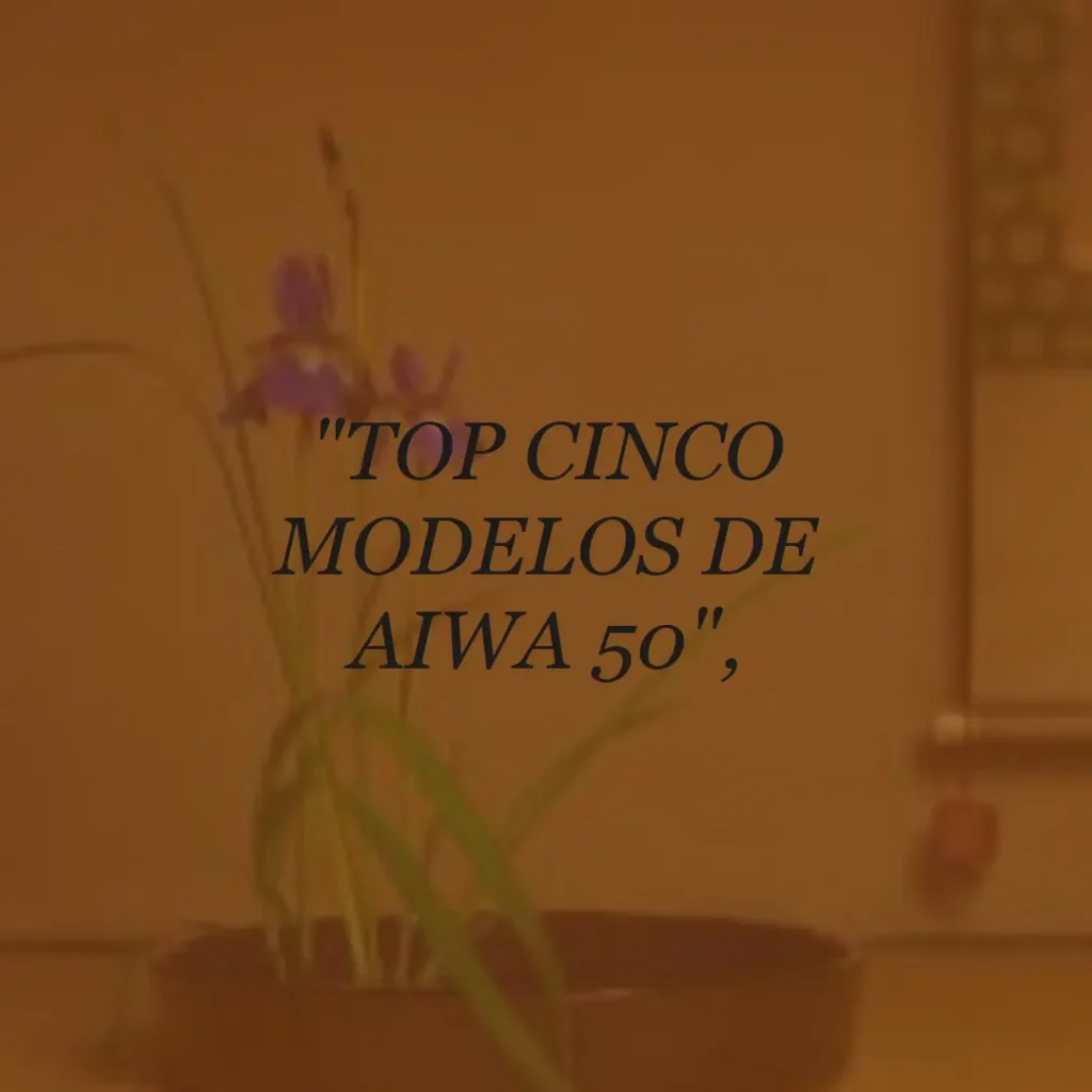 Top Cinco Modelos de aiwa 50