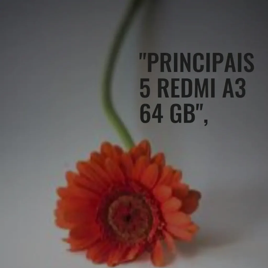 Principais 5 Redmi A3 64 gb
