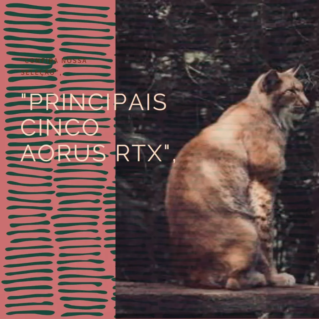 Principais Cinco Aorus RTX