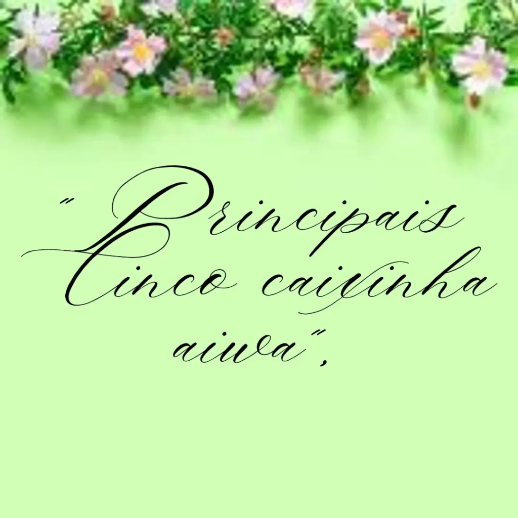 Principais Cinco  caixinha aiwa
