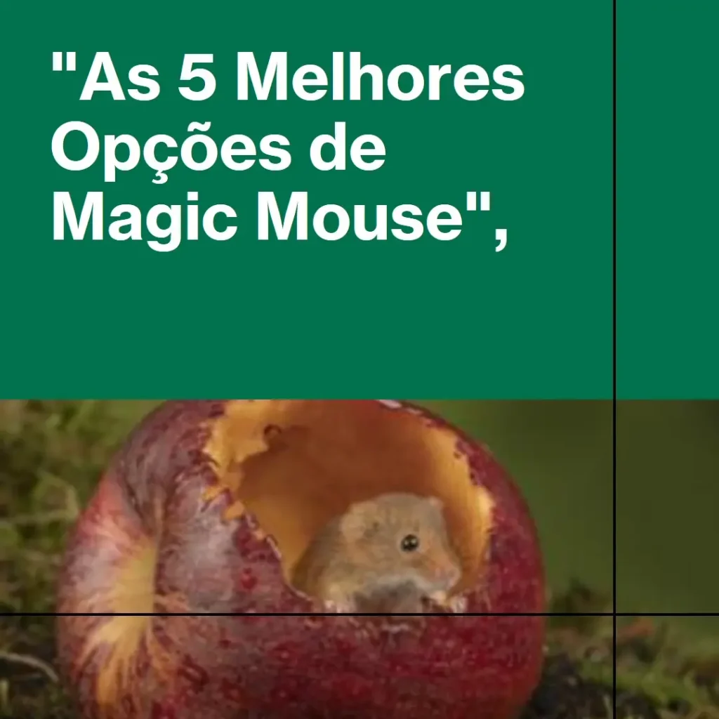 As 5 Melhores Opções de magic mouse Apple
