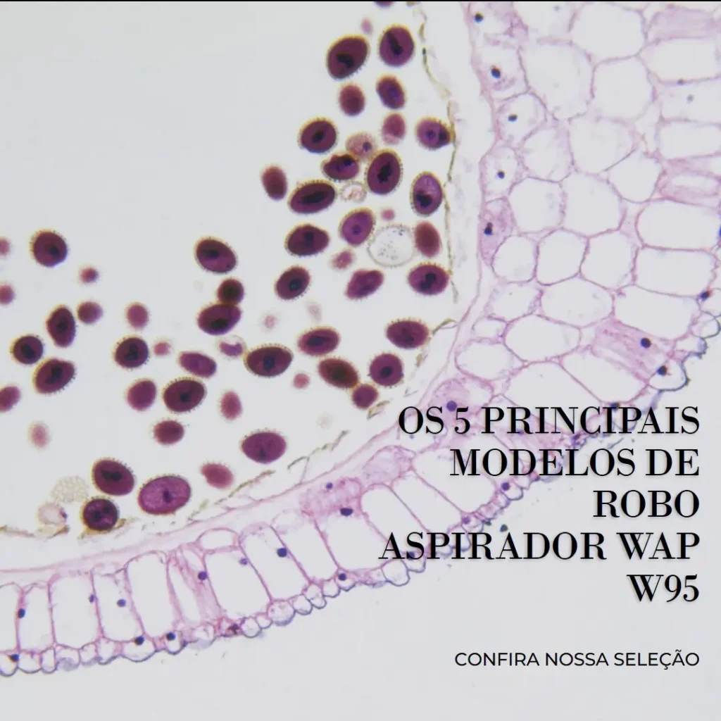 Os 5 Principais Modelos de robo aspirador WAP w95