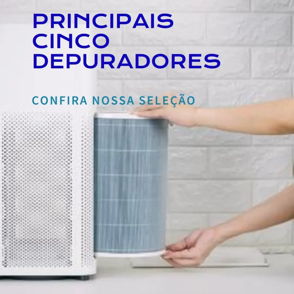 Principais Cinco depurador de ar da suggar