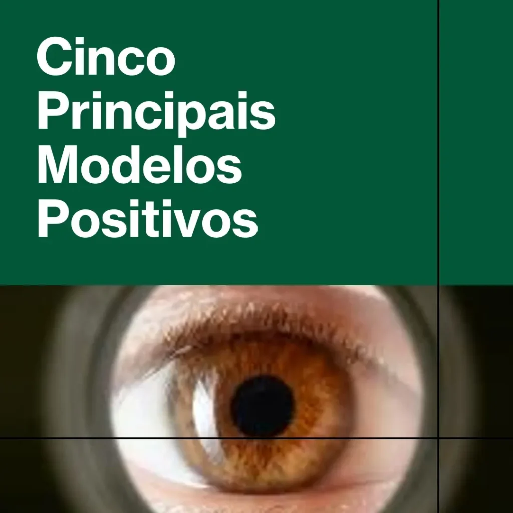 Top Cinco Modelos de Positivo r15 vision